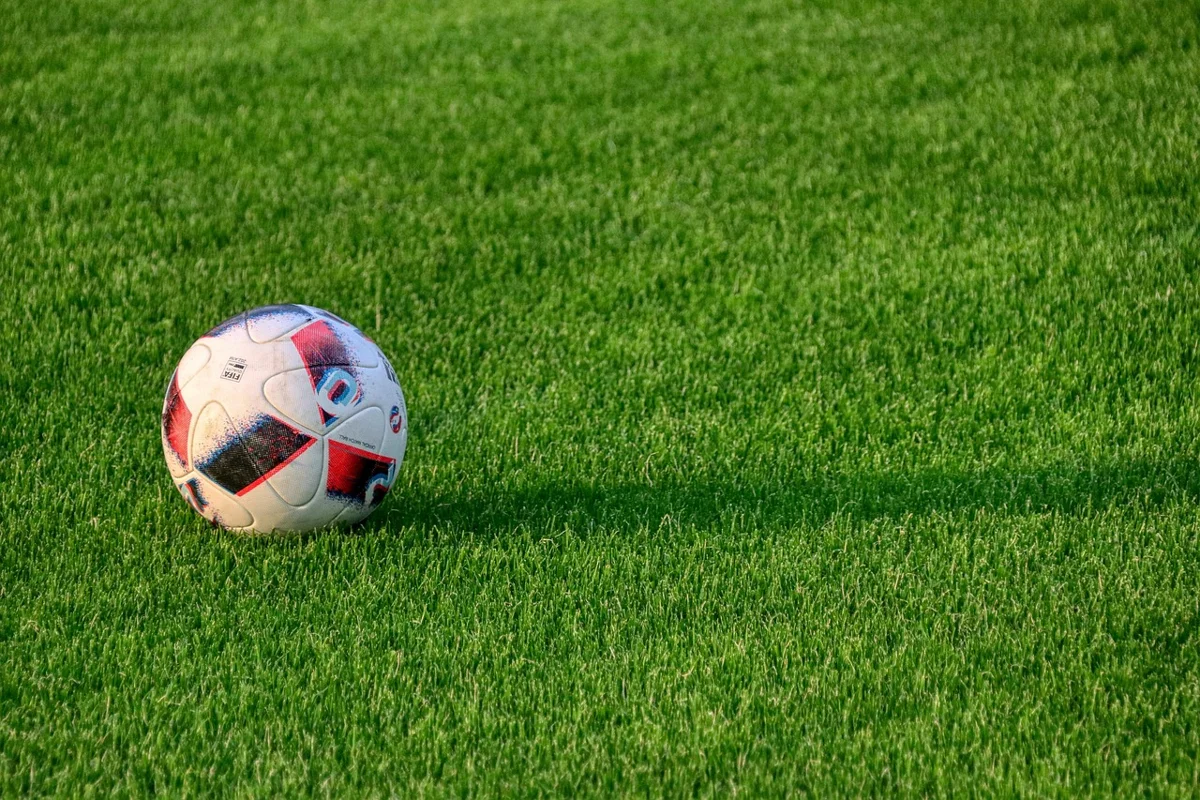 Sakaryaspor Nasıl: İşleyiş ve Kurallar