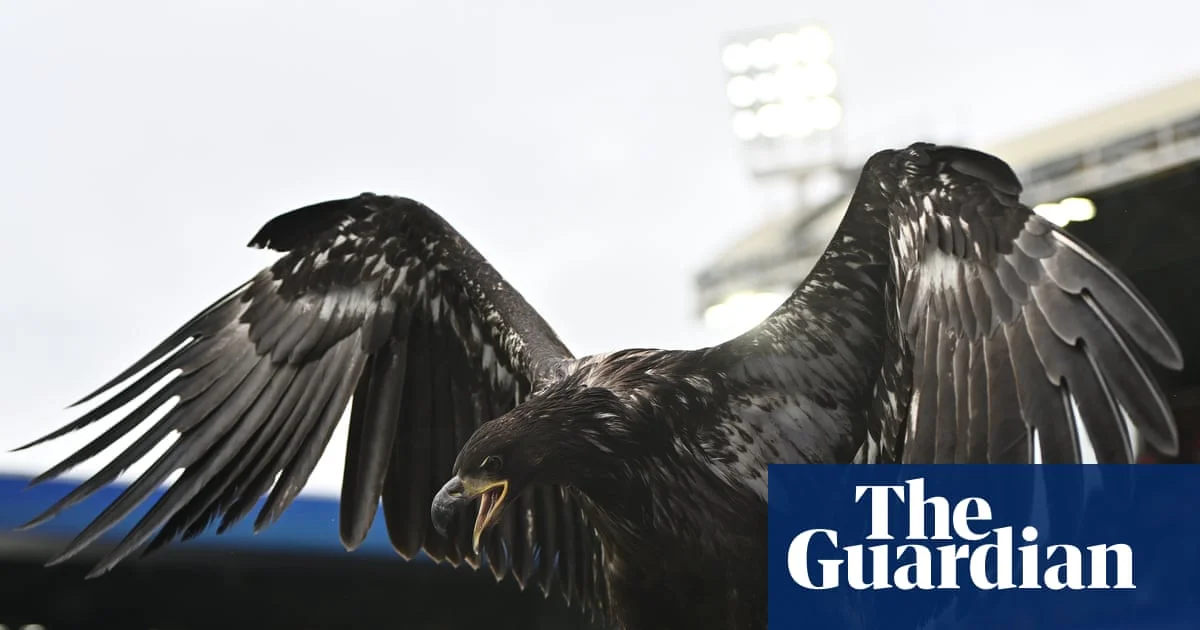 Animal rights group urges Crystal Palace to retire bald eagle mascot